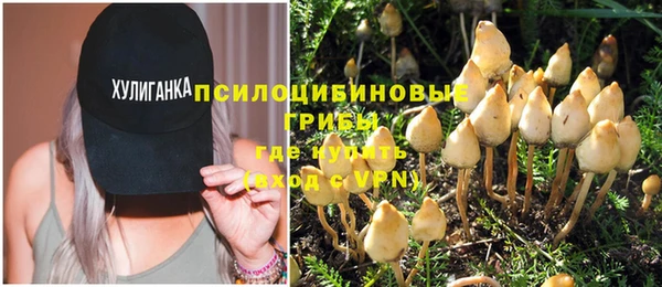 не бодяженный Абдулино