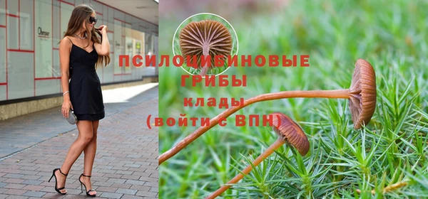 не бодяженный Абдулино