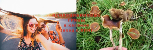 не бодяженный Абдулино