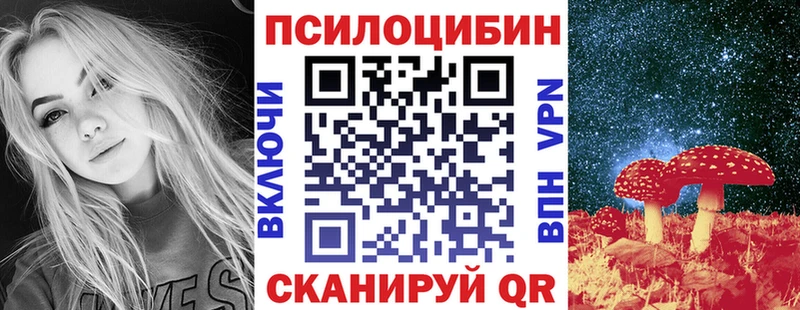 Псилоцибиновые грибы Psilocybine cubensis  блэк спрут зеркало  Чита 